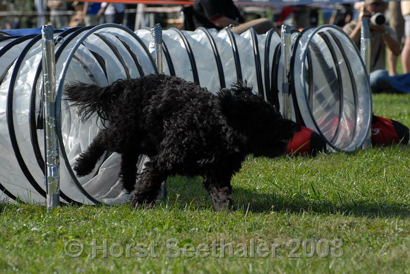 agistaats08 (146).JPG